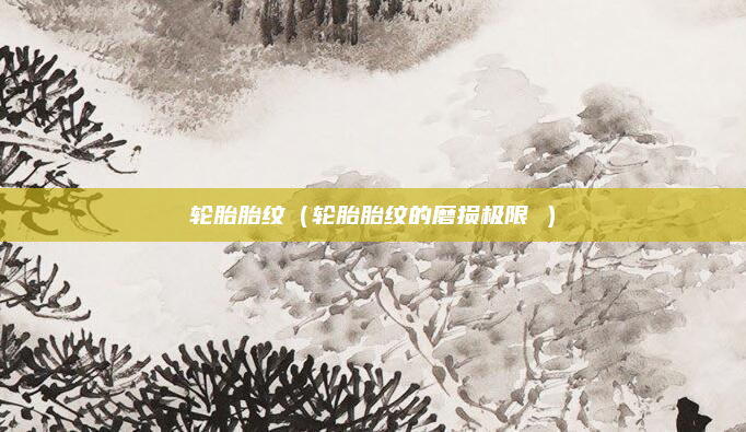 轮胎胎纹（轮胎胎纹的磨损极限 ）