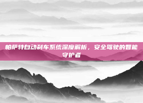帕萨特自动刹车系统深度解析，安全驾驶的智能守护者