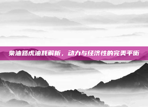 柴油路虎油耗解析,动力与经济性的完美平衡