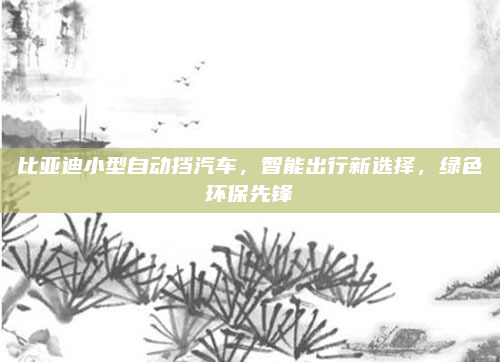 比亚迪小型自动挡汽车,智能出行新选择,绿色环保先锋