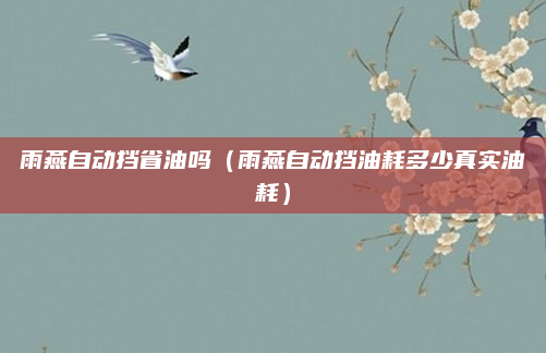 雨燕自动挡省油吗（雨燕自动挡油耗多少真实油耗）
