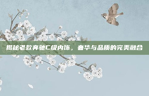 揭秘老款奔驰C级内饰,奢华与品质的完美融合