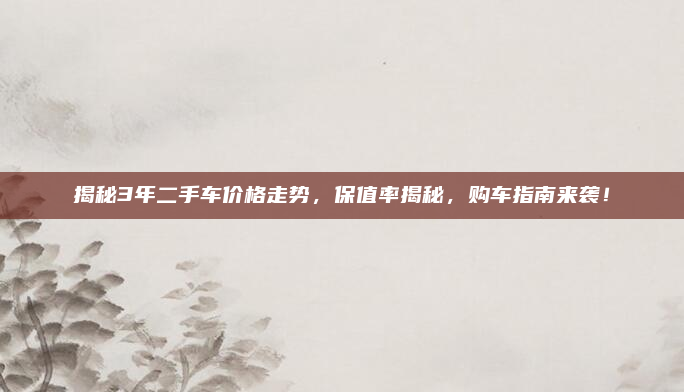 揭秘3年二手车价格走势，保值率揭秘，购车指南来袭！