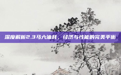 深度解析2.3马六油耗,经济与性能的完美平衡