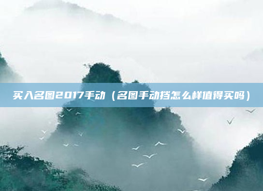 买入名图2017手动（名图手动挡怎么样值得买吗）
