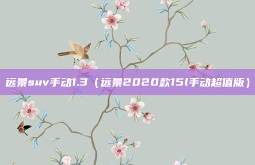 远景suv手动1.3（远景2020款15l手动超值版）