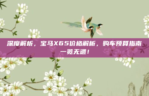 深度解析，宝马X65价格解析，购车预算指南一览无遗！