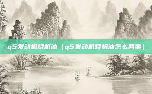 q5发动机烧机油（q5发动机烧机油怎么回事）