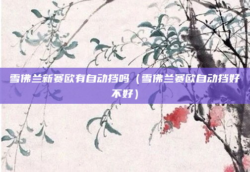 雪佛兰新赛欧有自动挡吗（雪佛兰赛欧自动挡好不好）