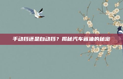 手动挡还是自动挡?揭秘汽车省油的秘密