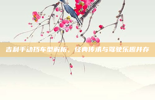 吉利手动挡车型解析,经典传承与驾驶乐趣并存