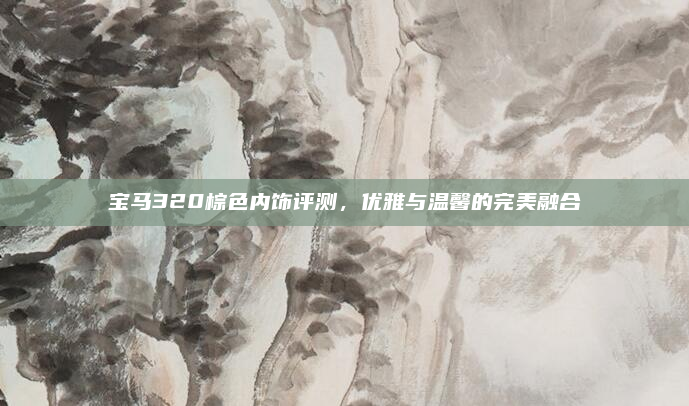 宝马320棕色内饰评测,优雅与温馨的完美融合