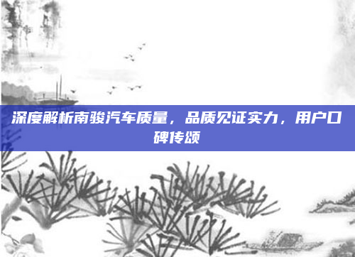 深度解析南骏汽车质量,品质见证实力,用户口碑传颂