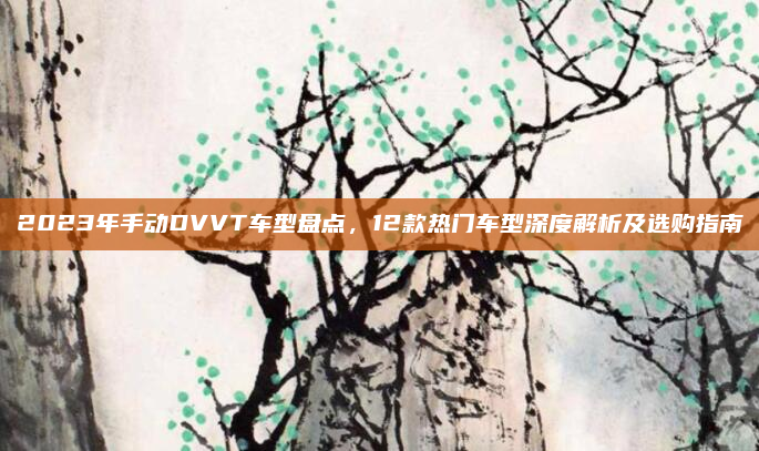 2023年手动DVVT车型盘点，12款热门车型深度解析及选购指南