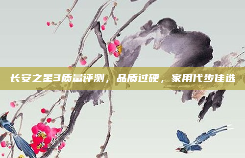 长安之星3质量评测,品质过硬,家用代步佳选