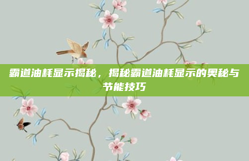 霸道油耗显示揭秘,揭秘霸道油耗显示的奥秘与节能技巧