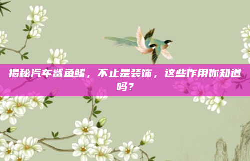 揭秘汽车鲨鱼鳍,不止是装饰,这些作用你知道吗?
