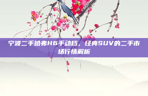宁波二手哈弗H6手动档,经典SUV的二手市场行情解析