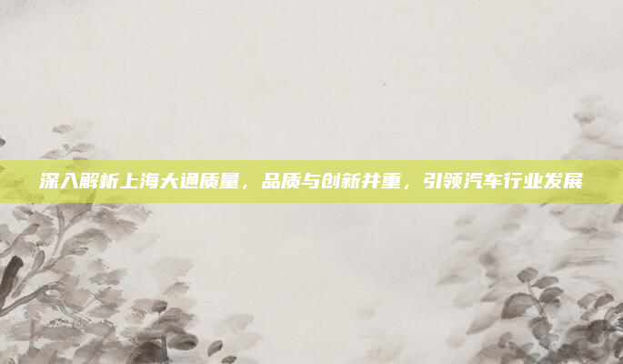 深入解析上海大通质量,品质与创新并重,引领汽车行业发展