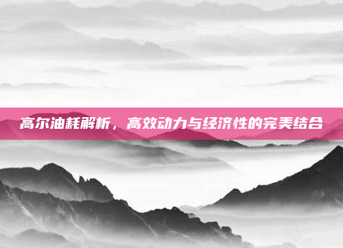 高尔油耗解析，高效动力与经济性的完美结合