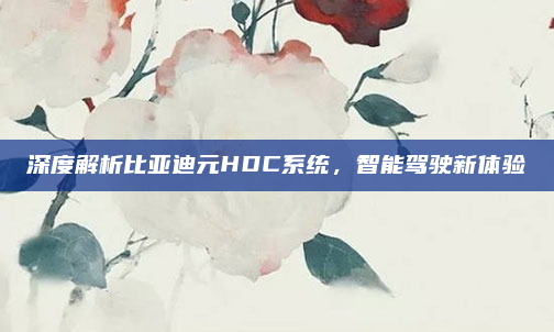 深度解析比亚迪元HDC系统，智能驾驶新体验