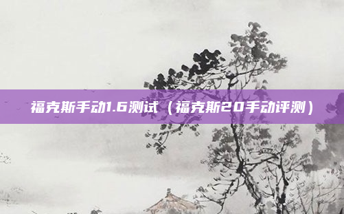 福克斯手动1.6测试(福克斯20手动评测)