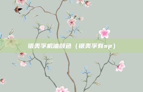 银美孚机油颜色（银美孚有sp）