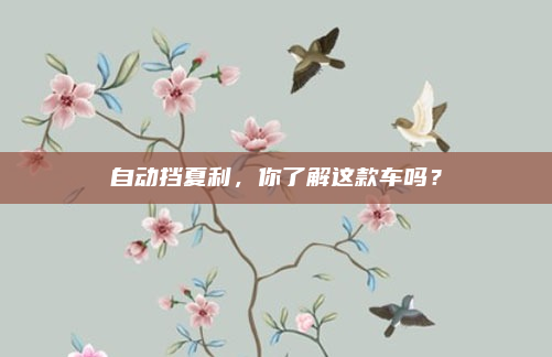 自动挡夏利,你了解这款车吗?