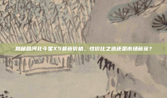 揭秘昌河北斗星X5最新价格,性价比之选还是市场新宠?