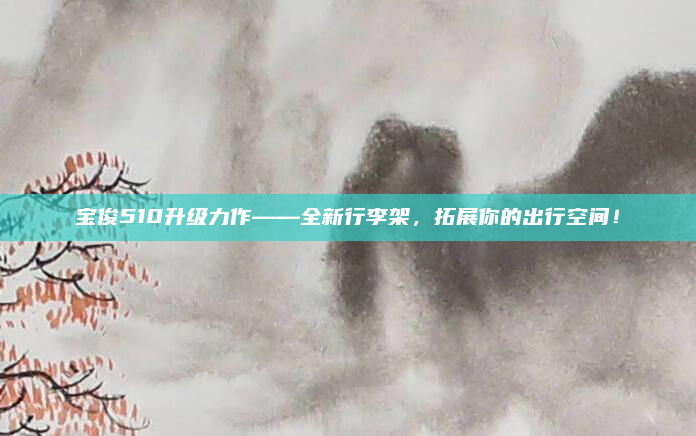 宝俊510升级力作——全新行李架，拓展你的出行空间！