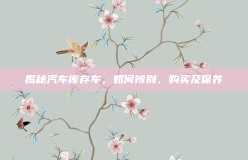 揭秘汽车库存车,如何辨别、购买及保养