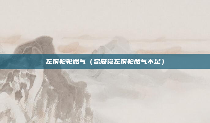 左前轮轮胎气(总感觉左前轮胎气不足)