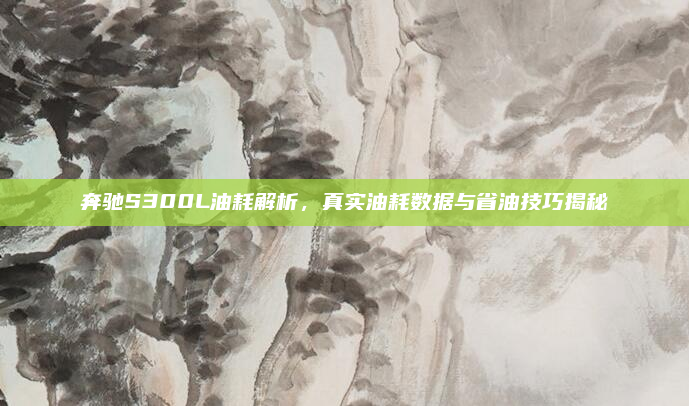 奔驰S300L油耗解析，真实油耗数据与省油技巧揭秘