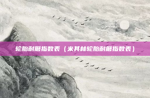 轮胎耐磨指数表(米其林轮胎耐磨指数表)