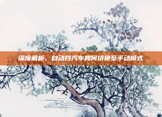 深度解析，自动挡汽车如何切换至手动模式