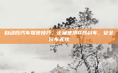 自动挡汽车驾驶技巧,正确使用D挡刹车,安全行车无忧