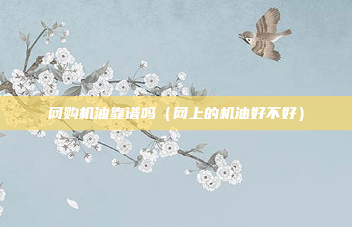 网购机油靠谱吗（网上的机油好不好）