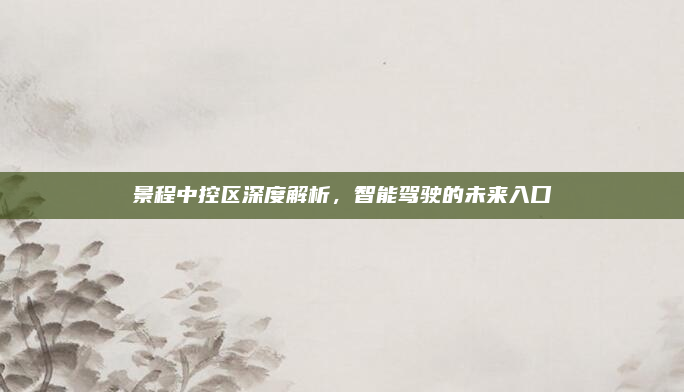 景程中控区深度解析，智能驾驶的未来入口