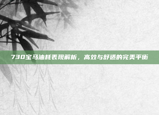 730宝马油耗表现解析，高效与舒适的完美平衡