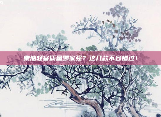 柴油轻客质量哪家强?这几款不容错过!
