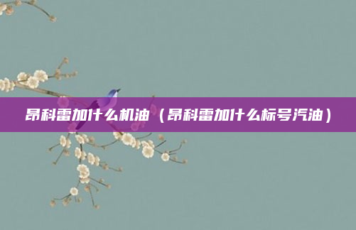 昂科雷加什么机油（昂科雷加什么标号汽油）