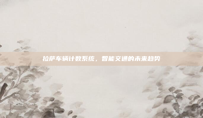 拉萨车辆计数系统,智能交通的未来趋势
