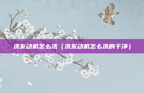 洗发动机怎么洗（洗发动机怎么洗的干净）