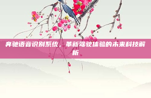 奔驰语音识别系统,革新驾驶体验的未来科技解析