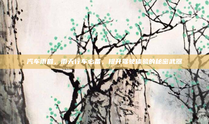 汽车雨眉,雨天行车必备,提升驾驶体验的秘密武器