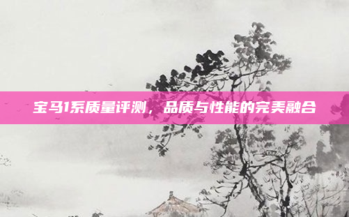 宝马1系质量评测，品质与性能的完美融合