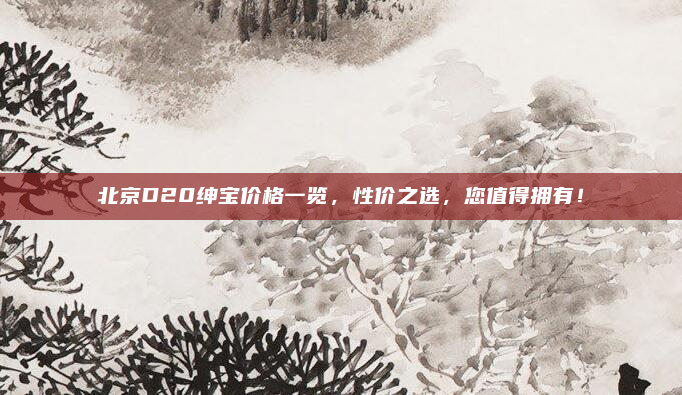 北京D20绅宝价格一览,性价之选,您值得拥有!
