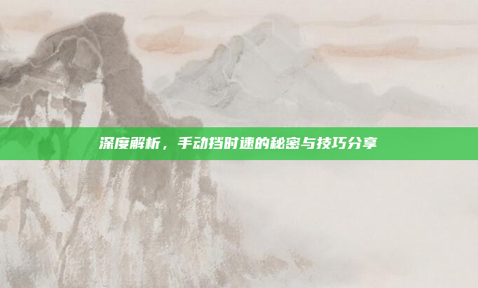 深度解析，手动挡时速的秘密与技巧分享