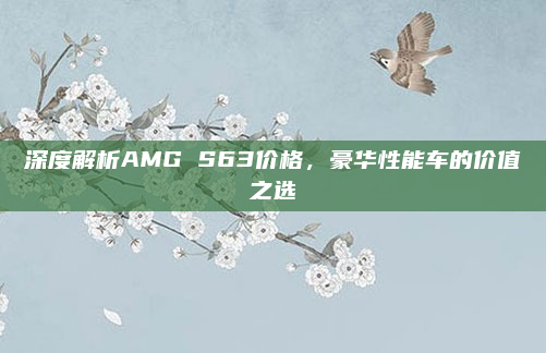 深度解析AMG S63价格，豪华性能车的价值之选