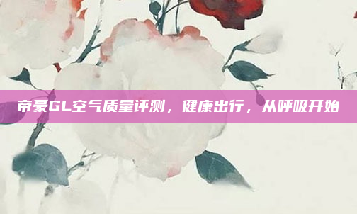 帝豪GL空气质量评测，健康出行，从呼吸开始